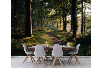 Снимка на фототапет